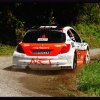 CW Alpi Orientali Rally 2010 006